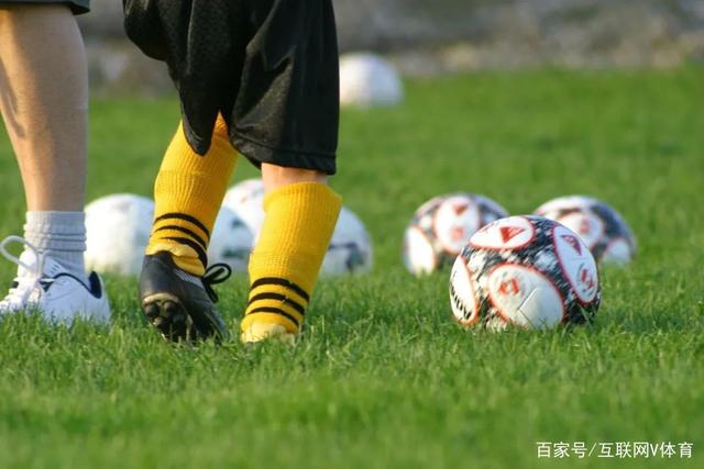 杨鸣：羡慕广东政策吸引人才 羡慕杜锋有周琦